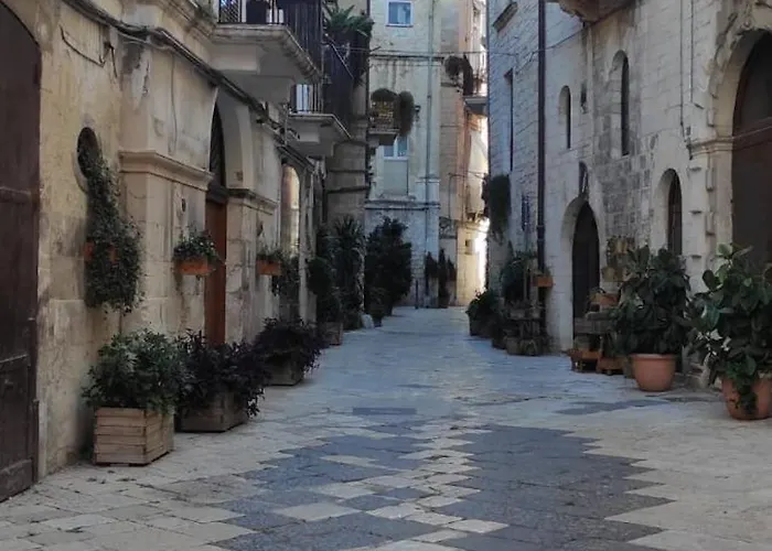 La Follia dell'Architetto